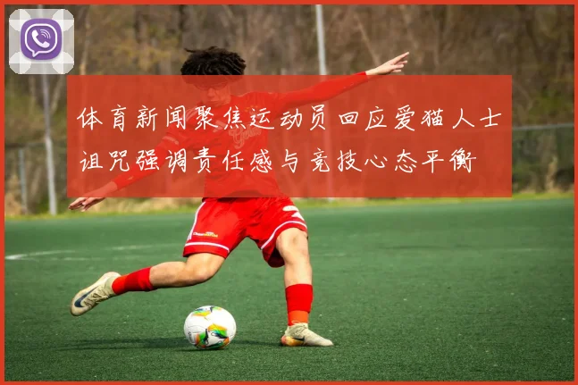 体育新闻聚焦运动员回应爱猫人士诅咒强调责任感与竞技心态平衡