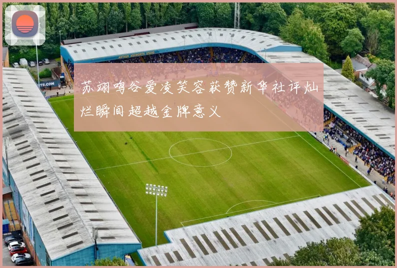 苏翊鸣谷爱凌笑容获赞新华社评灿烂瞬间超越金牌意义