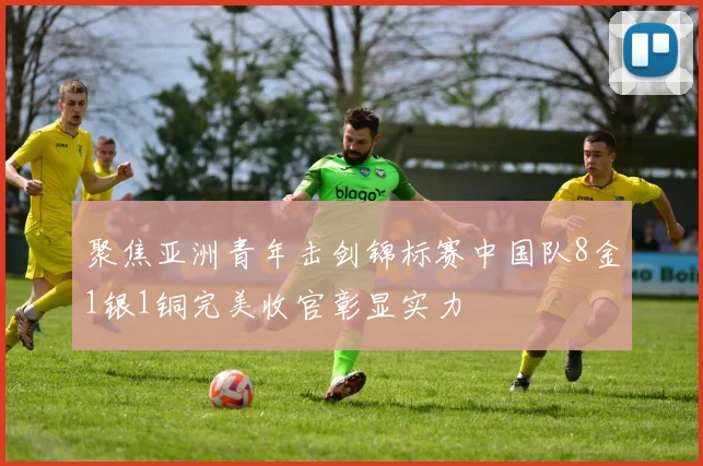 聚焦亚洲青年击剑锦标赛中国队8金1银1铜完美收官彰显实力